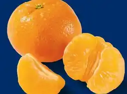 Lidl Mandarinen Angebot