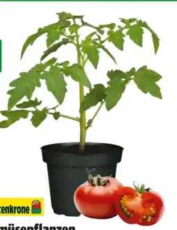 Hagebau Gartenkrone Gemüse-Pflanzen Angebot