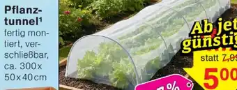 Wiglo Wunderland Pflanztunnel Angebot