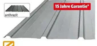 Hagebau DS Staalprofil Stahltrapezprofil 25-275R Angebot