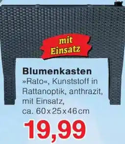 Wiglo Wunderland Blumenkasten Angebot