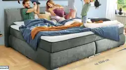 Ostermann Harper Familien-Boxspringbett Sambas Angebot