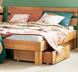 Trends Möbel Massivholzbett Solano Angebot