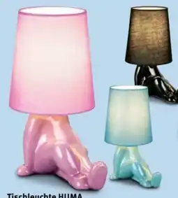 Trends Möbel Tischleuchte Huma Angebot