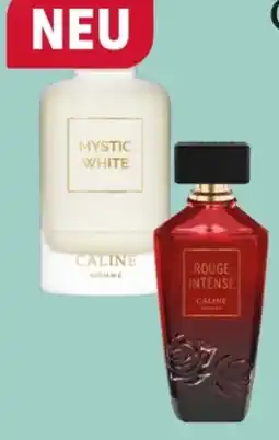 Rossmann Câline Man EdT Angebot