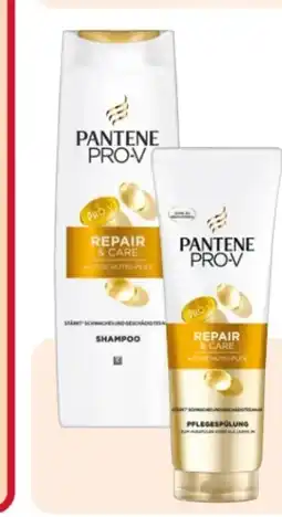 Rossmann Pantene Pro-V Shampoo Angebot