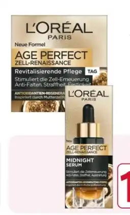 Rossmann L'Oréal Paris Age Perfect Zell Renaissance Tagespflege Angebot