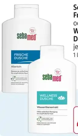 Rossmann Sebamed Frische Dusche Angebot
