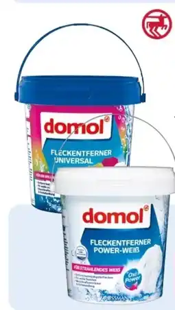 Rossmann Domol Fleckentferner Universal Angebot