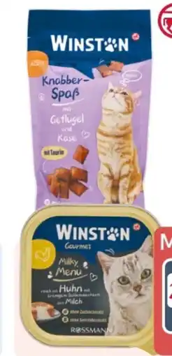 Rossmann Winston Gourmet Katze Milky Menü Angebot
