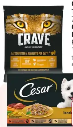 Rossmann Crave Katzen Trockenfutter Angebot