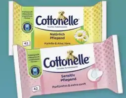 Rossmann Cottonelle Feuchtes Toilettenpapier Angebot