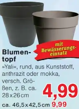 Wiglo Wunderland Blumentopf Angebot