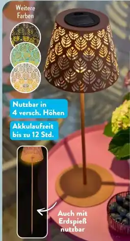 Aldi Süd Casalux LED-Solarleuchte Angebot