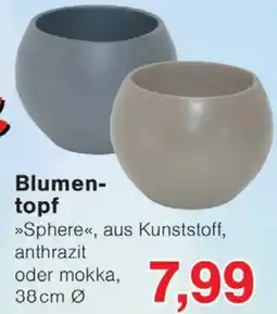 Wiglo Wunderland Blumentopf Angebot