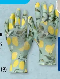 Aldi Süd Gardenline Gartenhandschuhe Angebot