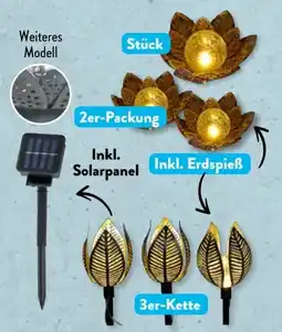 Aldi Süd Belavi LED-Solar-Wasserlilien Angebot