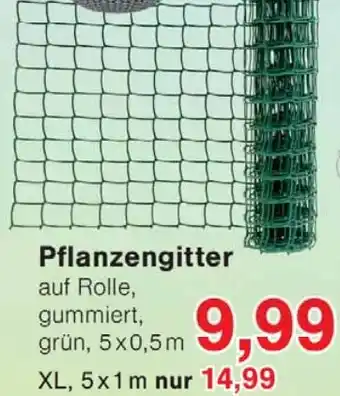 Wiglo Wunderland Pflanzengitter Angebot