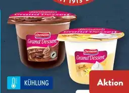Aldi Süd Ehrmann Grand Dessert Schoko Angebot