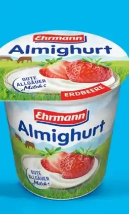 Aldi Süd Ehrmann Almighurt Erdbeere Angebot