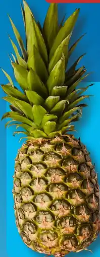 Aldi Süd Ananas Angebot