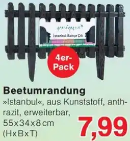 Wiglo Wunderland Beetumrandung Angebot