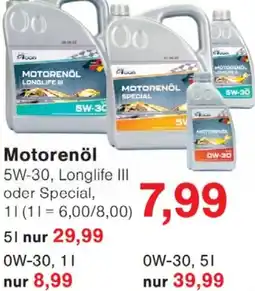 Wiglo Wunderland Motorenöl Angebot