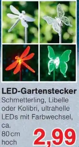 Wiglo Wunderland LED-Gartenstecker Angebot