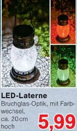 Wiglo Wunderland LED-Laterne Angebot