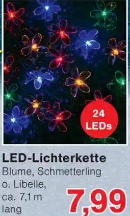 Wiglo Wunderland LED-Lichterkette Angebot