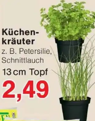 Wiglo Wunderland Küchenkräuter Angebot