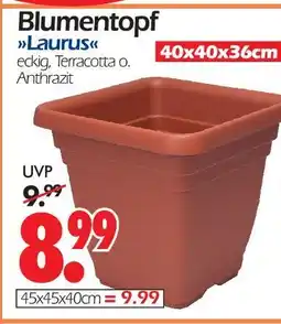Wreesmann Blumentopf laurus Angebot