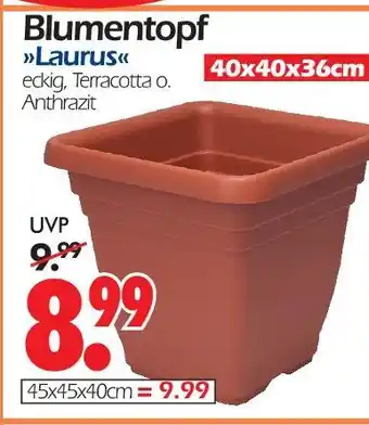 Blumentopf laurus