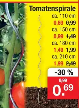 Zimmermann Tomatenspirale Angebot