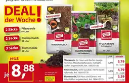 Sonderpreis Baumarkt Sonderpreis baumarkt pflanzerde Angebot