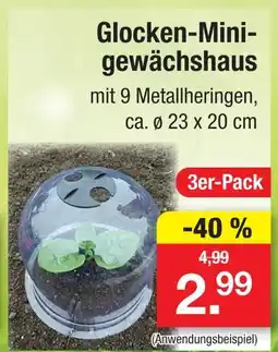 Zimmermann Glocken-mini-gewächshaus Angebot