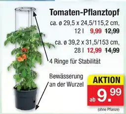 Zimmermann Tomaten-pflanztopf Angebot