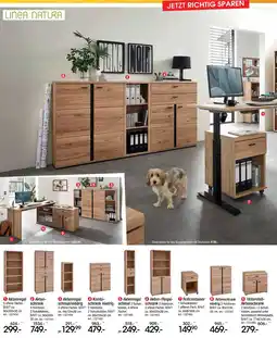 Zurbrüggen Linea natura akten-/regalschrank Angebot