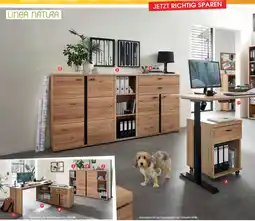 Zurbrüggen Linea natura aktenregal schmal/niedrig Angebot