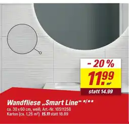 toom Baumarkt Wandfliese smart line Angebot