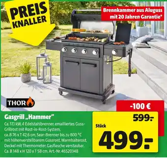 Hagebau Thor gasgrill „hammer“ Angebot