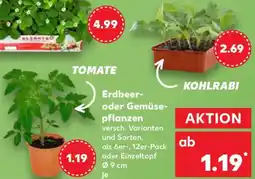 Kaufland Erdbeer oder Gemüsepflanzen Angebot