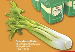 Famila Nord West Staudensellerie Angebot
