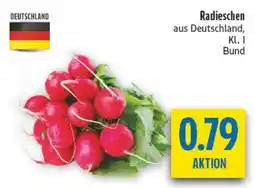 diska Radieschen Angebot