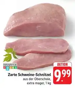 Edeka Zarte Schweine-Schnitzel Angebot