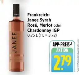 Edeka Janee Syrah Rosé, Merlot oder Chardonnay IGP Angebot