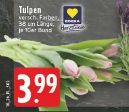 Edeka Tulpen Angebot