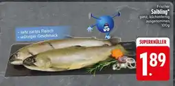 Edeka Frischer Saibling Angebot