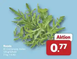 Combi Rucola Angebot