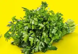 Lidl Petersilien Angebot